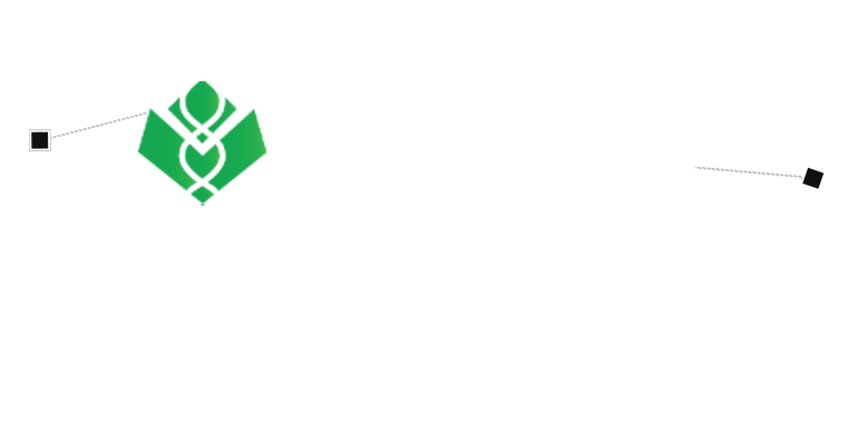 servicii branding