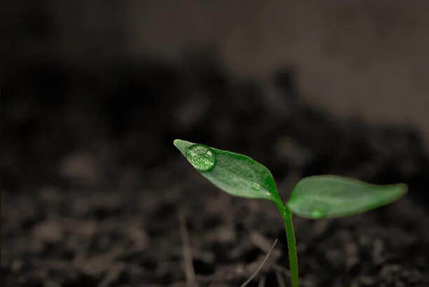 inspiratie site unic