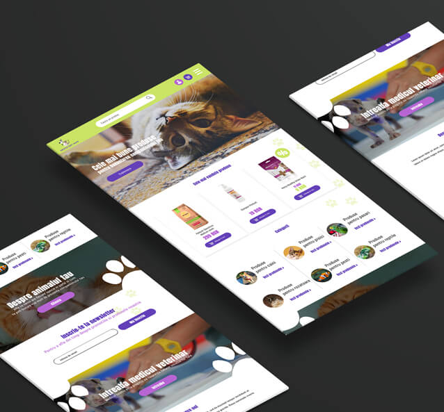 site web custom