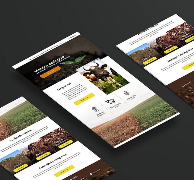 web design unic