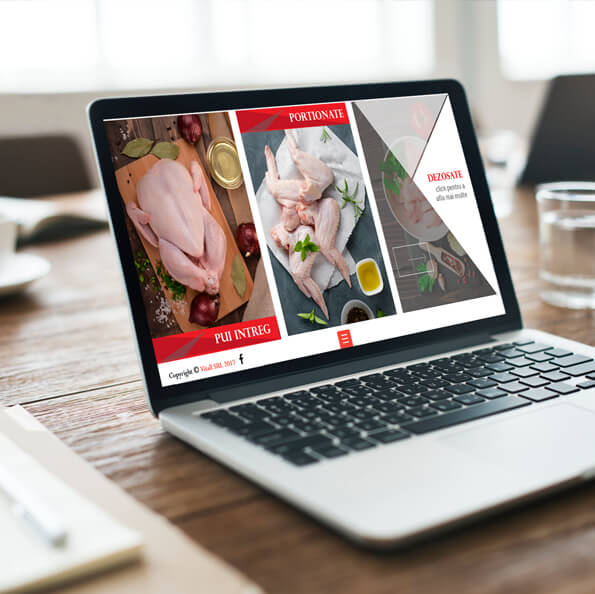 creare site profesional