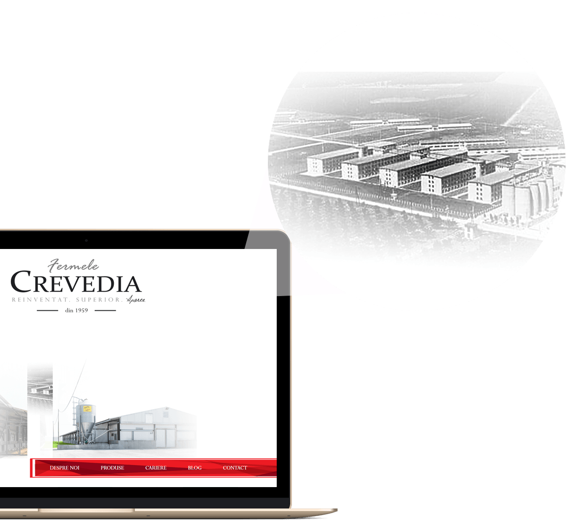 Site prezentare profesional fermele crevedia