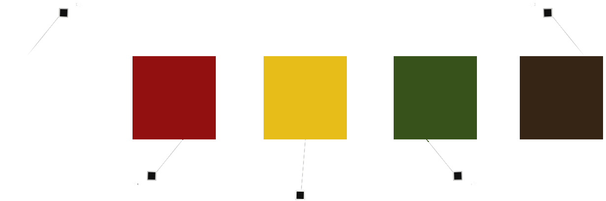 culori site pensiune