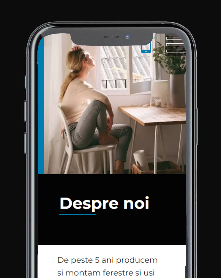 site de prezentare profesional