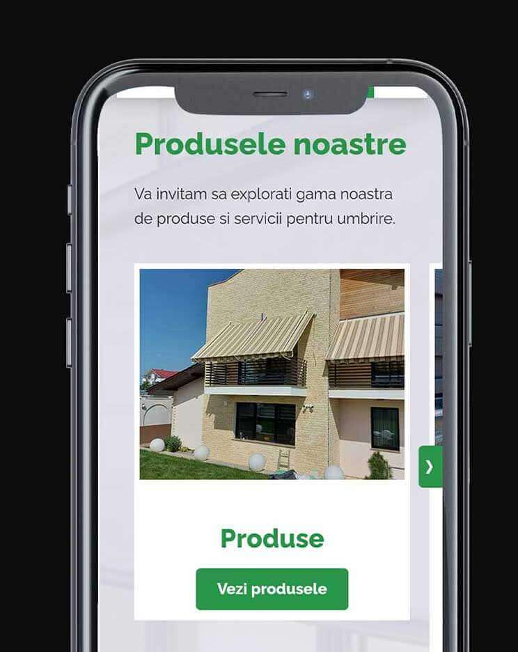 site de prezentare profesional