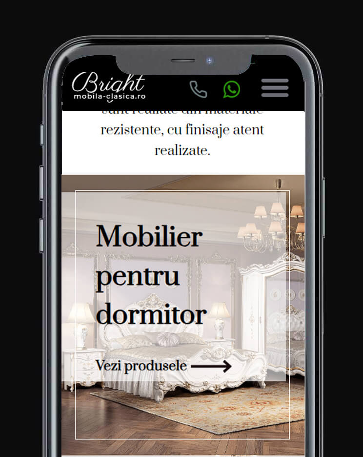 site de prezentare profesional