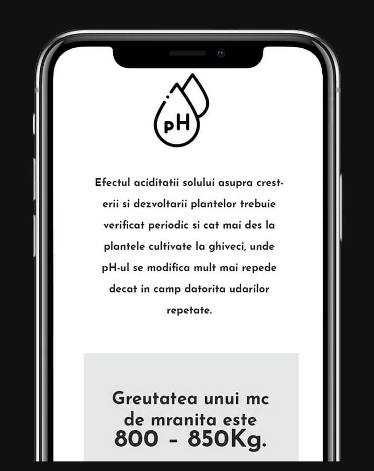 site de prezentare profesional