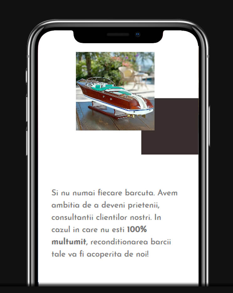 site profesional de prezentare