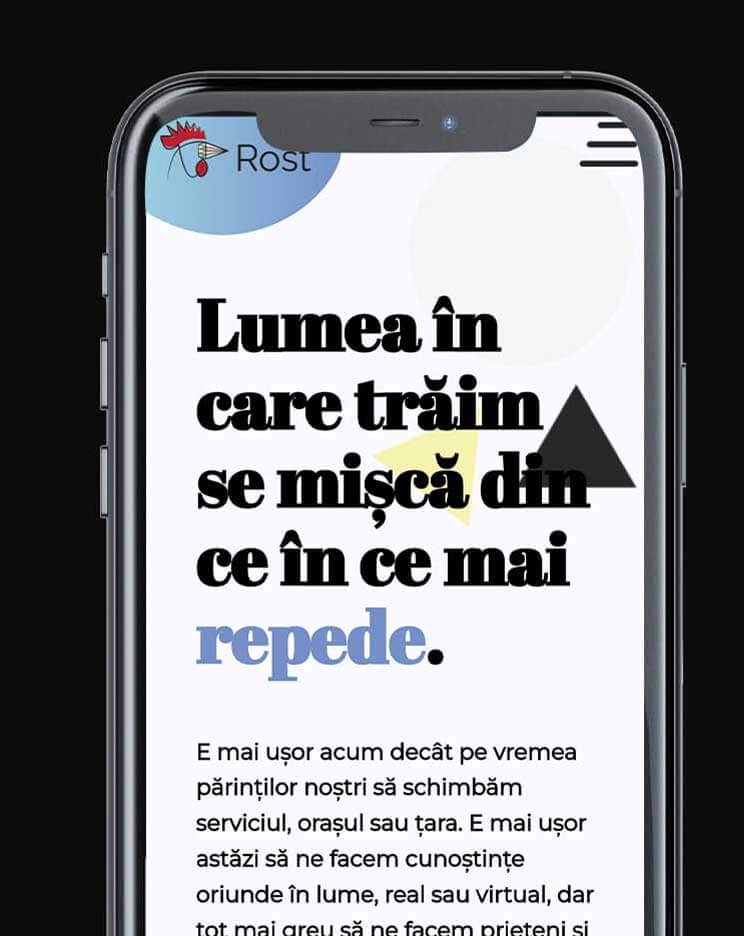 site de prezentare profesional