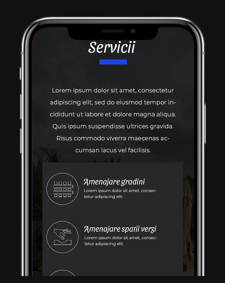 site de prezentare profesional