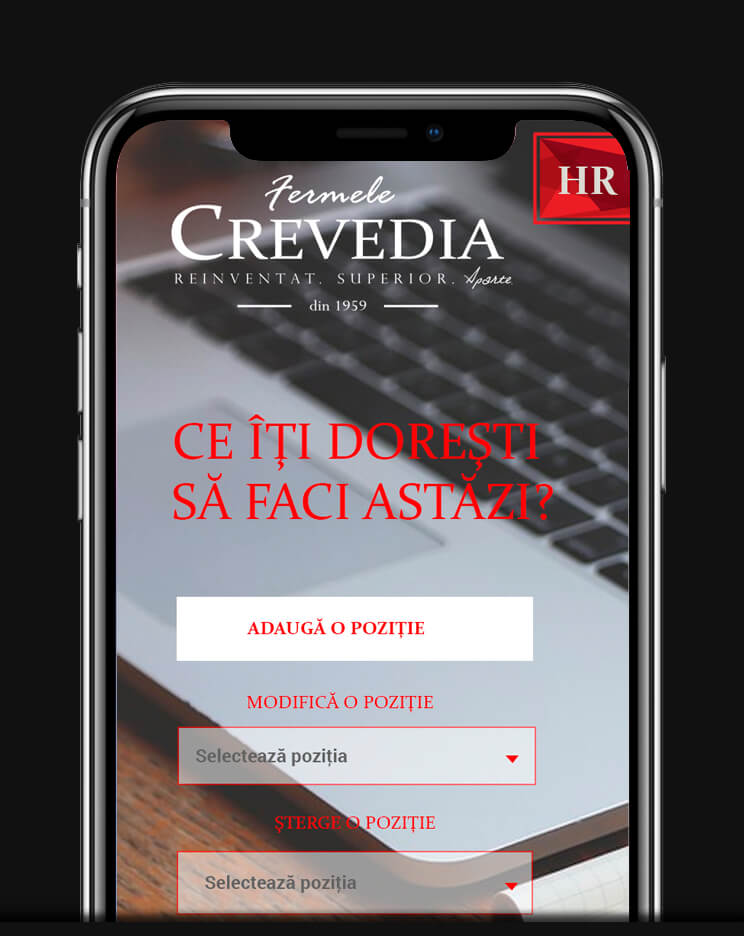 site custom cms