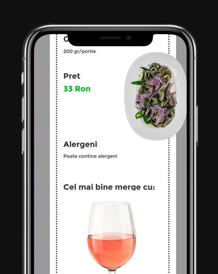 site custom gura portitei cu soft de rezervari integrat