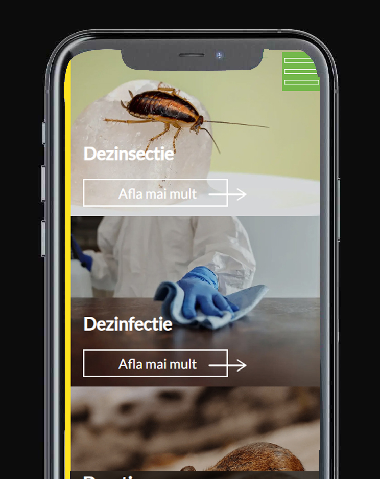 site unic de prezentare