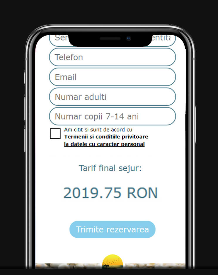 generare automata de rapoarte din site