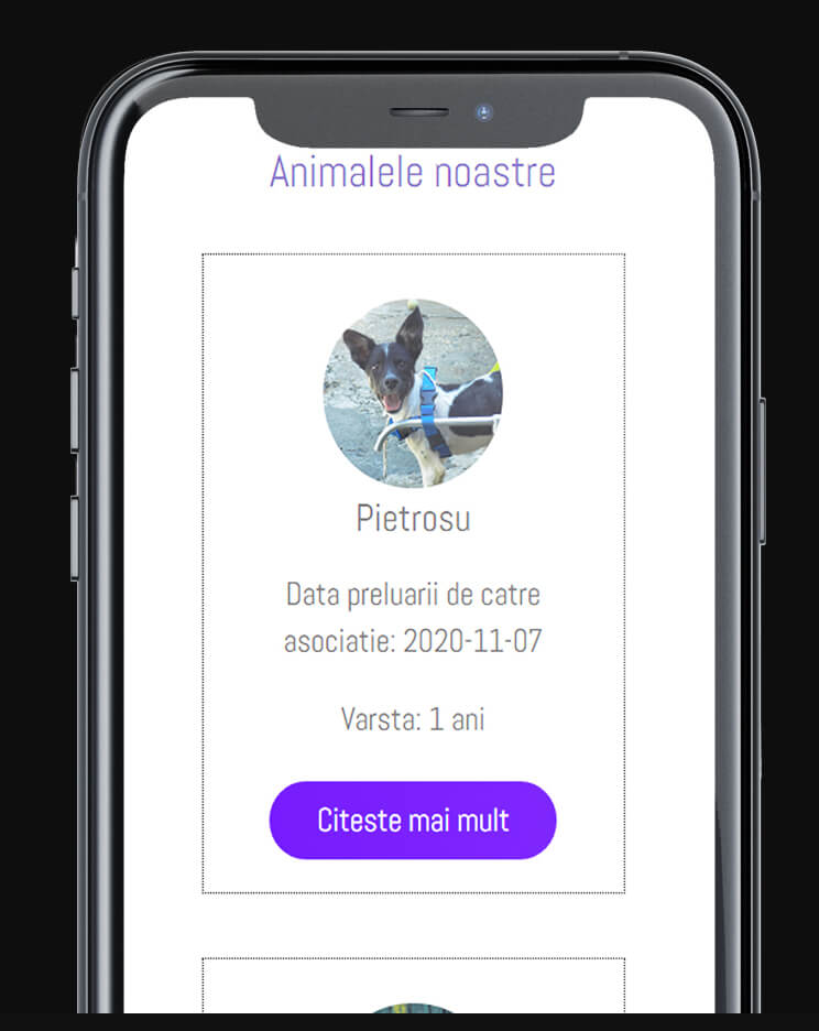 creare magazin online personalizat