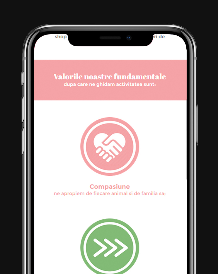 realizare website unic cu soft de rezervari integrat