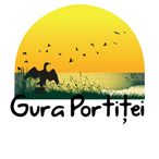 testimoniale web
