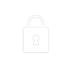 securitate in web