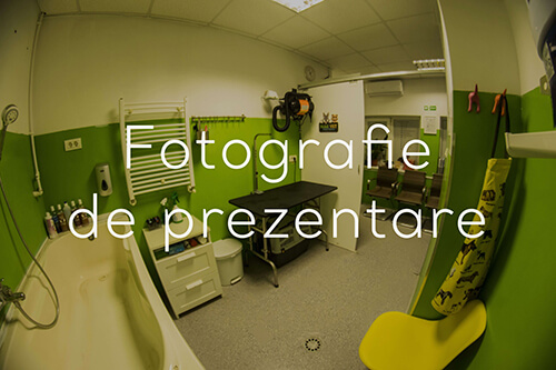 Fotografie de prezentare