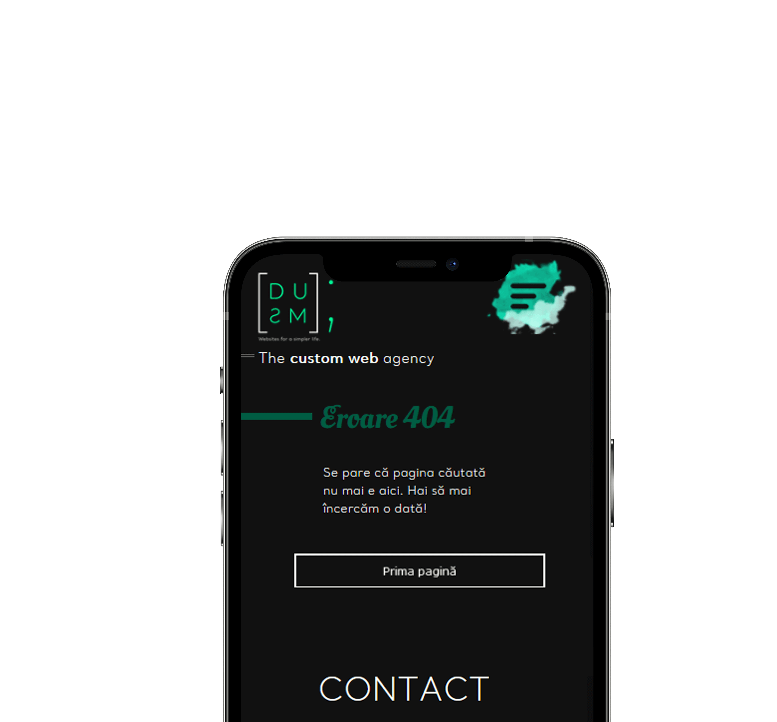 Portofoliu